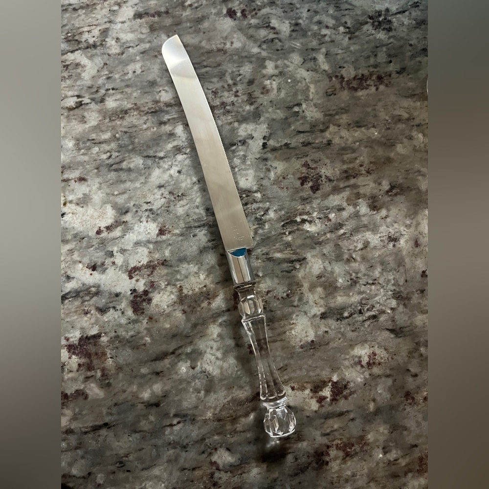 Stainless steel cake cutter